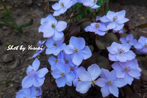 中央公園-19.jpg
