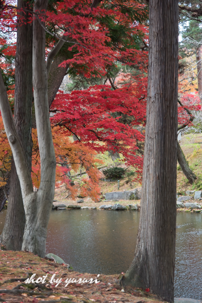 盛岡城跡公園-2.jpg