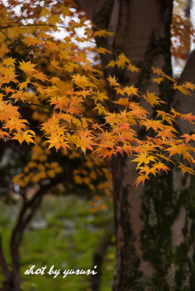 盛岡城跡公園-6.jpg