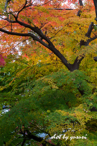 盛岡城跡公園-8.jpg